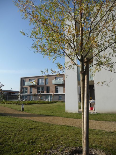 ARVAL architecture - 50 logements personnes âgées – Choisy-au-Bac - 4 Arval logements Choisy au Bac