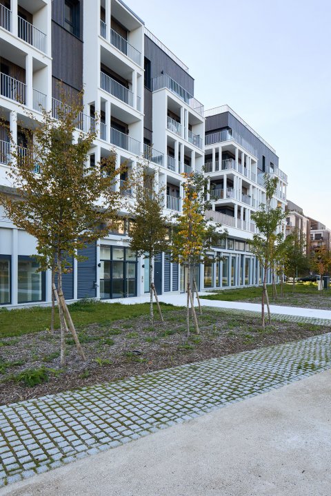 ARVAL architecture - ZAC ECOQUARTIER – MONTEVRAIN - 4 Ecoquartier Montévrain ARVAL