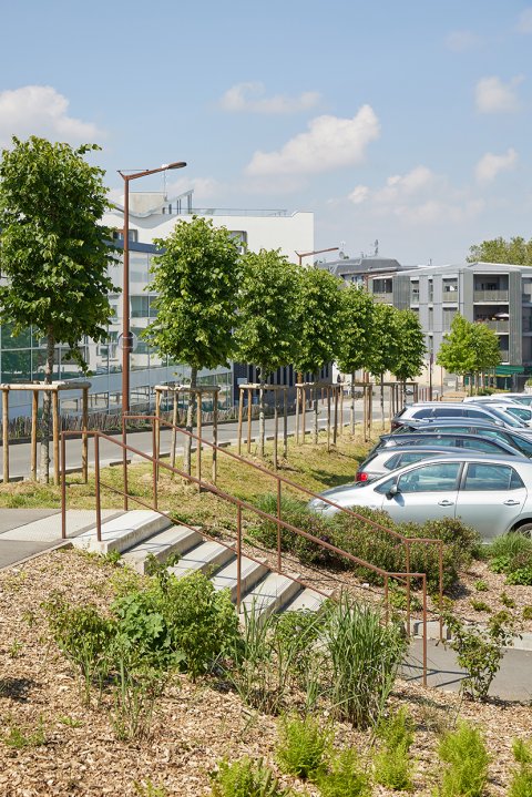 ARVAL architecture - ZAC Saint-Jean –  Lagny-sur-Marne (77) - 4 
