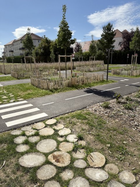 ARVAL architecture - ZAC de la Prairie – MARGNY/VENETTE - 7 
