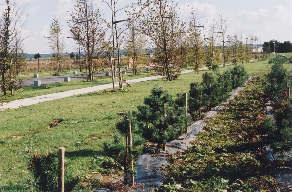 ARVAL architecture - Parc d’activités “Le Haut Villé” – Beauvais - 8 Arval Haut Villé Beauvais