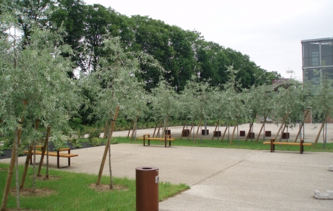 Cité scolaire-Espaces extérieurs – Amiens