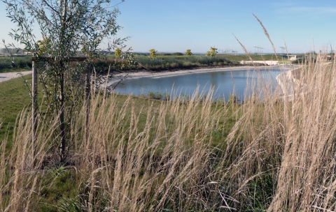 Parc industriel – Récy/ St-Martin sur le Pré